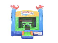 Kahuna Bounce Kahuna Bounce